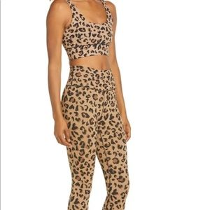 IVL cheetah ‘Into the Wild’ Set